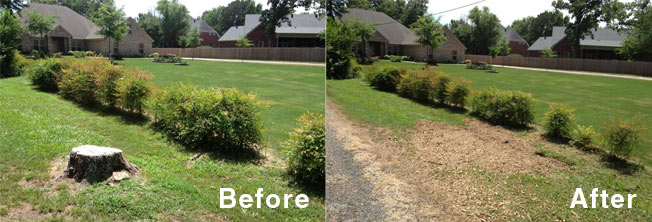 Stump Grinding