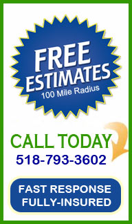 free estimates